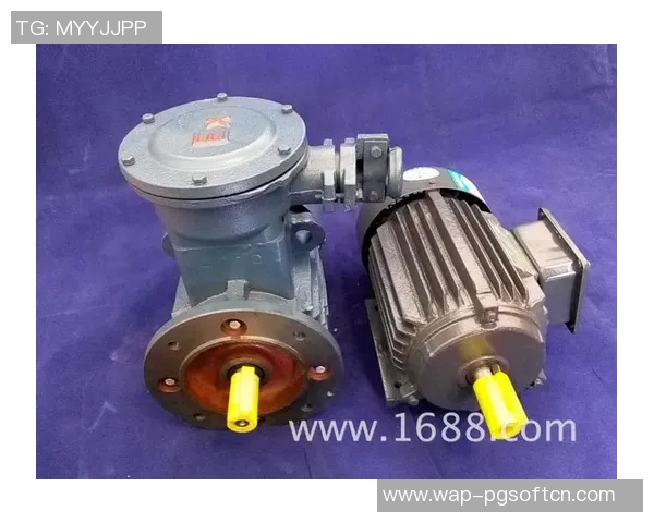 pg电子yb33me-探索Pg电子YB33ME的独特魅力与技术创新-pg电子yb33me