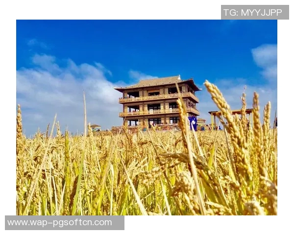 pg电子赢财神技巧-赢财神之路,探讨PG电子游戏中的技巧和策略-pg电子赢财神技巧 pg电子赢财神技巧-赢财神之路,探讨PG电子游戏中的技巧和策略-pg电子赢财神技巧